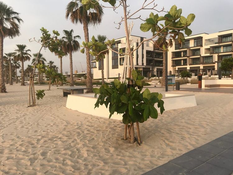 Nikki Beach Dubai