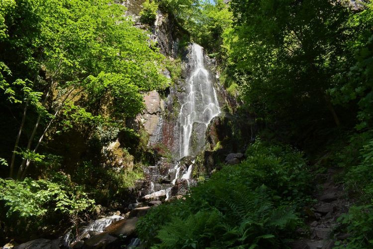 Cascade du Nideck