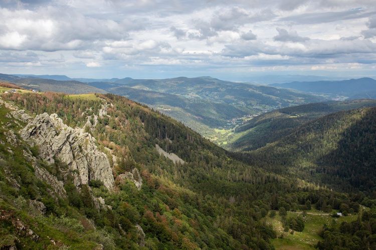 Sentier des Crêtes Vosges