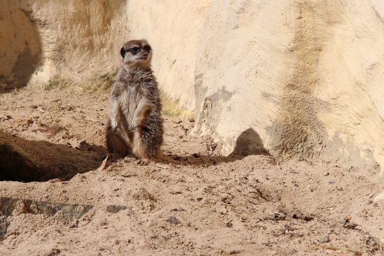 Zoo de Lille