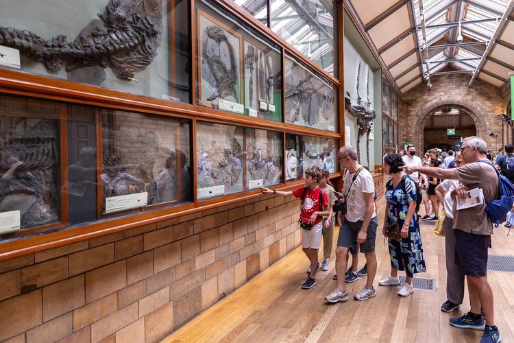 Natural History Museum Londres
