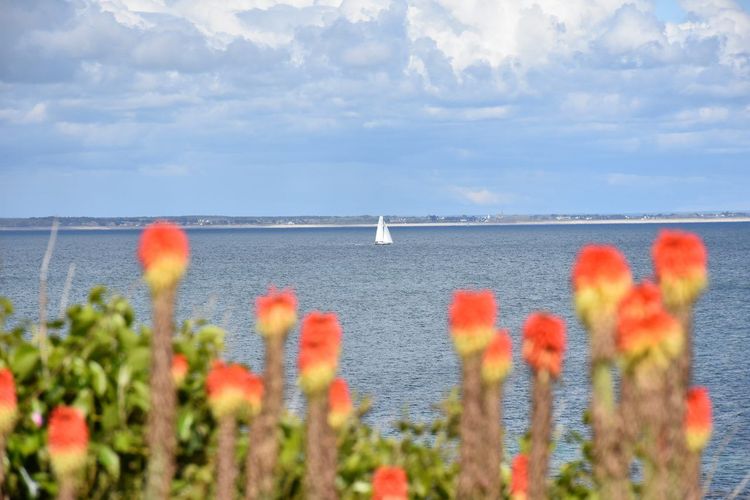 Île de Groix