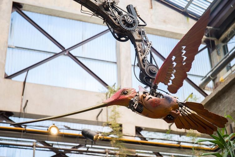colibri-mahcine-nantes