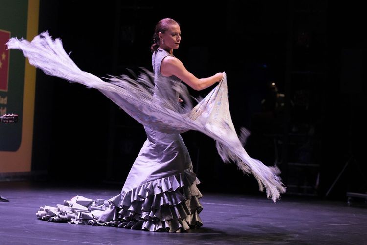 spectacle flamenco Madrid