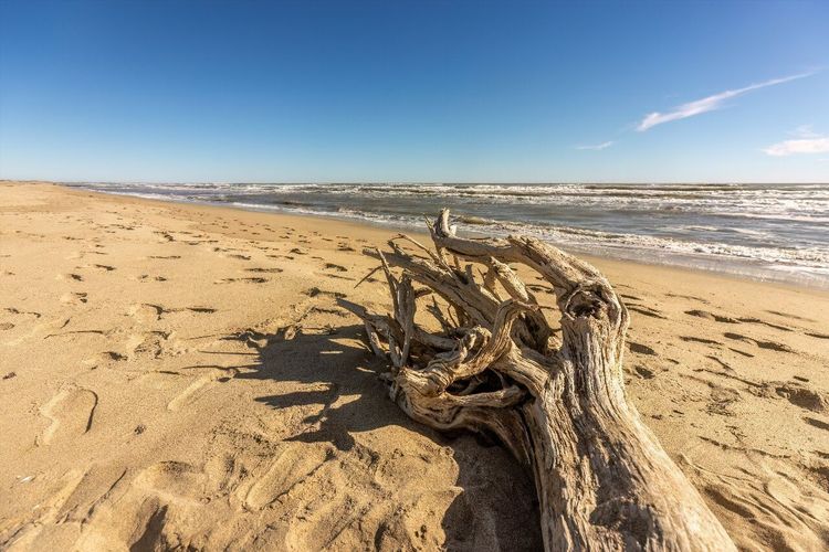 plage de l'Espiguette