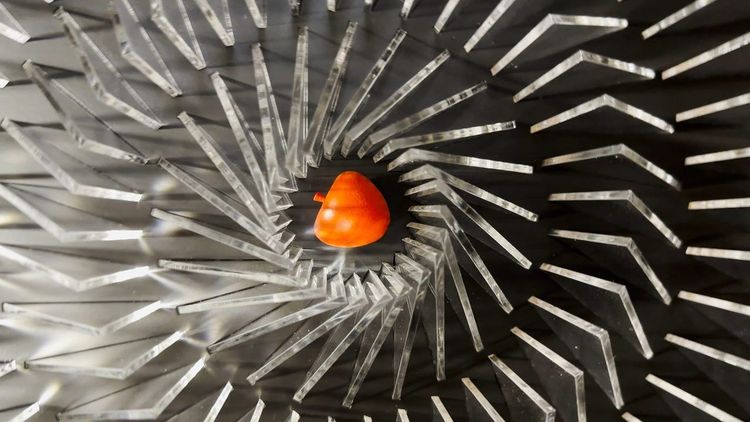 Musée de l'Illusion