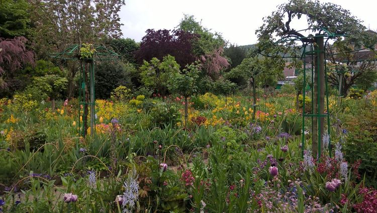 Jardin botanique du Montet