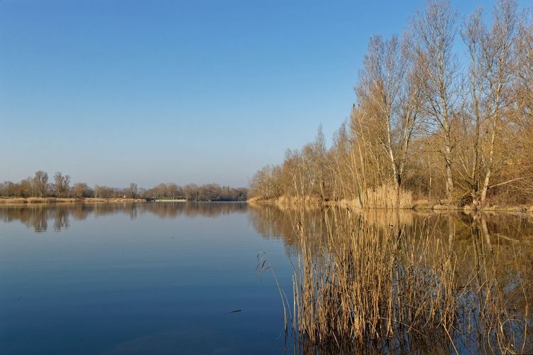 Le Grand Parc de Miribel-Jonage