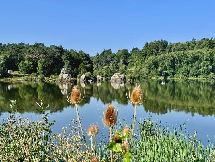 Lac d'Aydat
