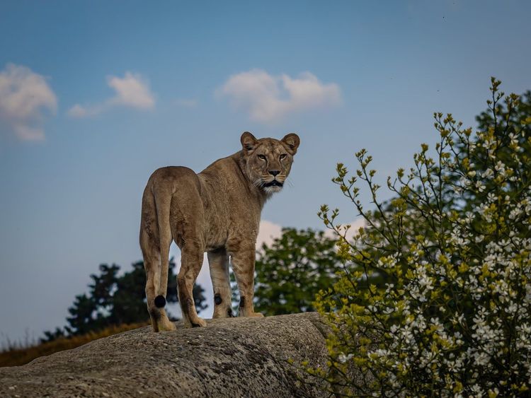 Parc Zoologique de Paris