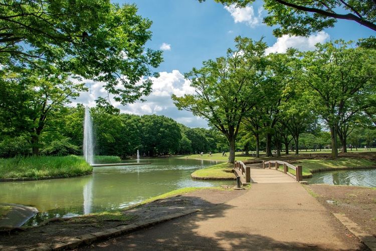 yoyogi-park-tokyo