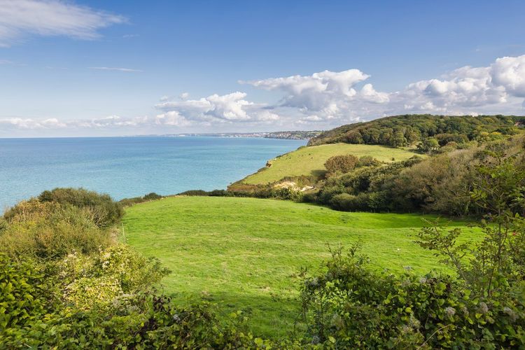 Varengeville-sur-Mer falaise