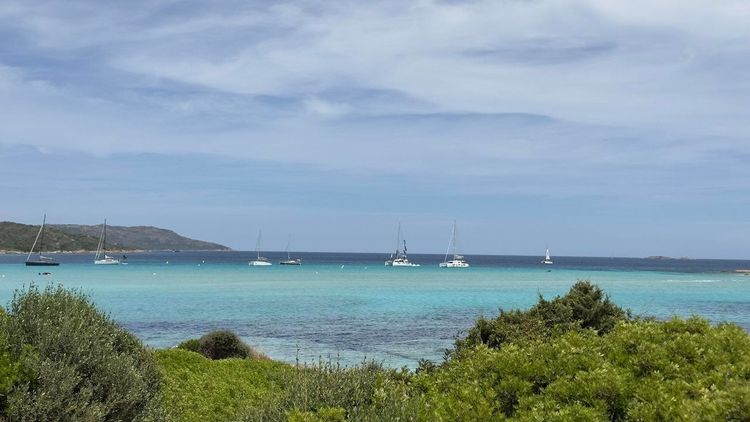 Plage de Piantarella