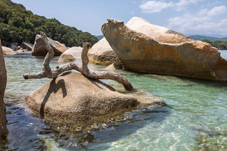 plage Palombaggia