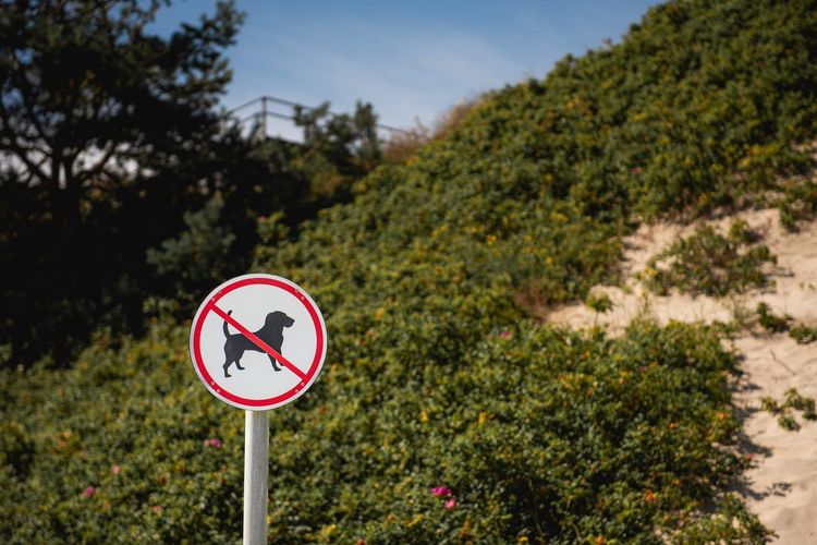 chien plage autorisé