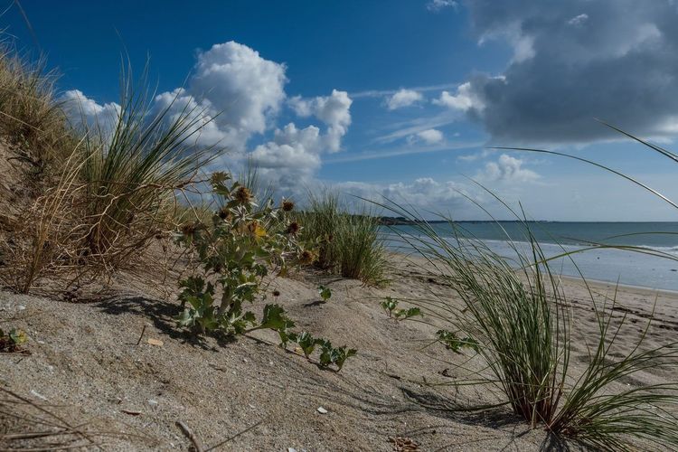 Pays Bigouden plage