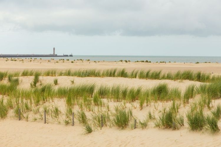 plage-malo-les-bains