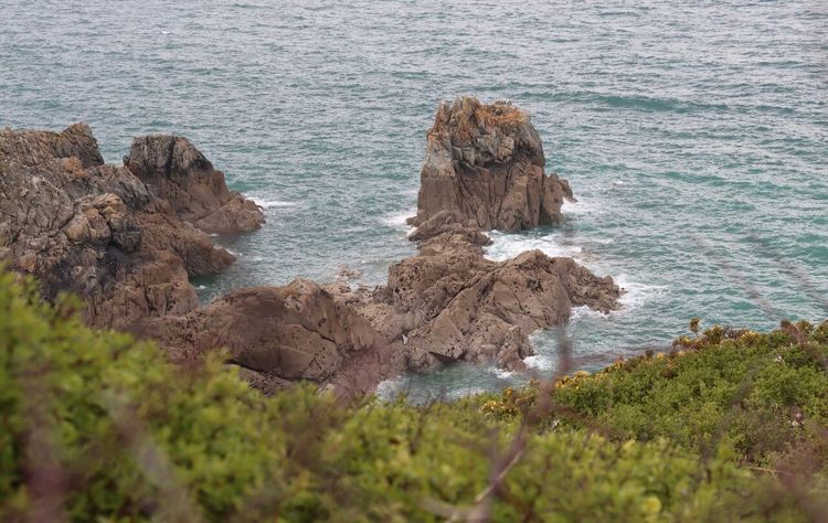 Baie de Saint-Brieuc