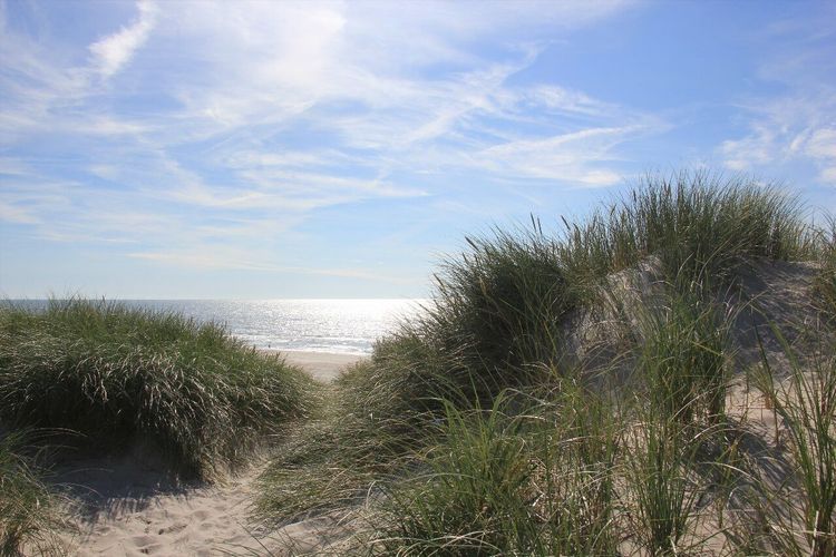 Henne Strand plage