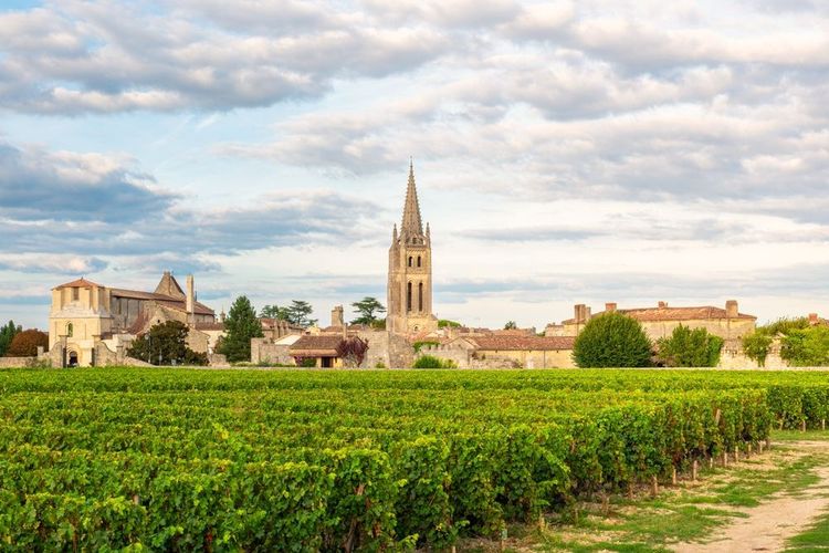 Vineyards,Of,Saint,Emilion,,Bordeaux,,Gironde,,France.,Medieval,Church,In