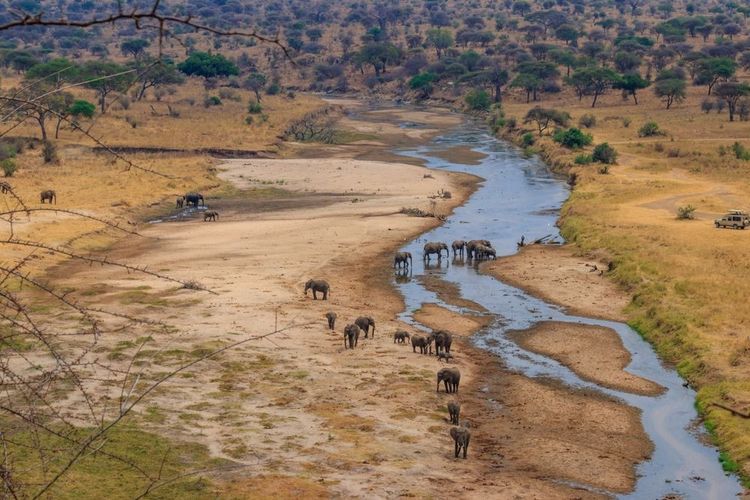 tarangire