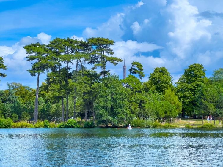 Bois de Boulogne