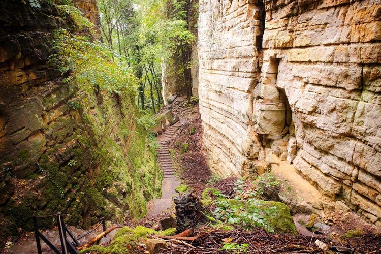 Gorges du Loup