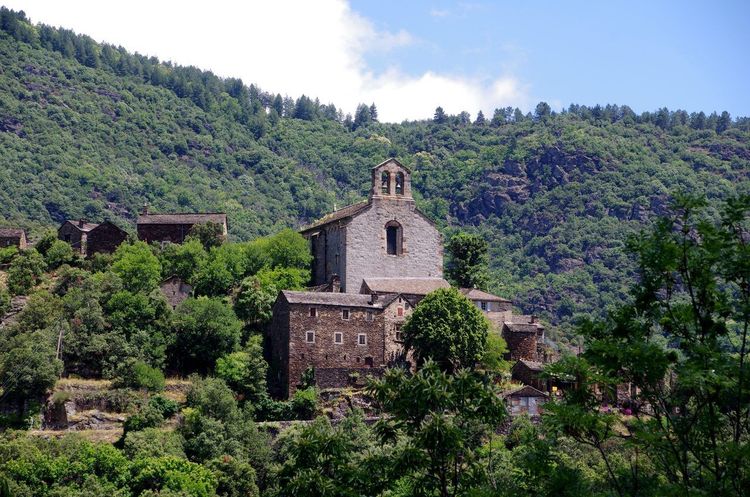 Thines village