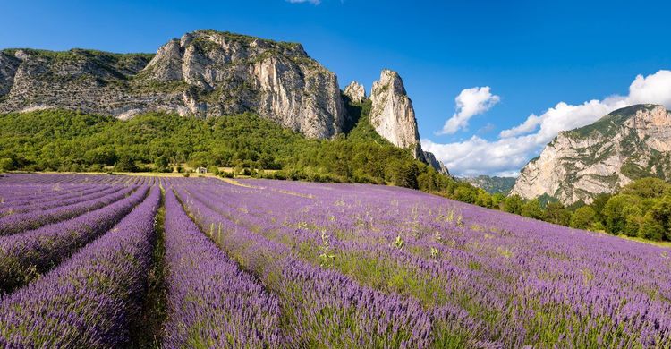 Drôme provençale