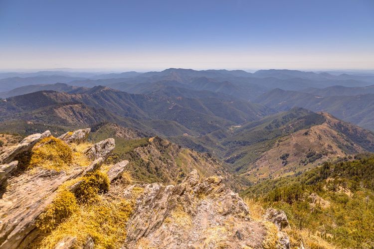 Mont Aigoual