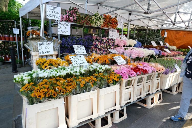 Marché aux fleurs Fourcès