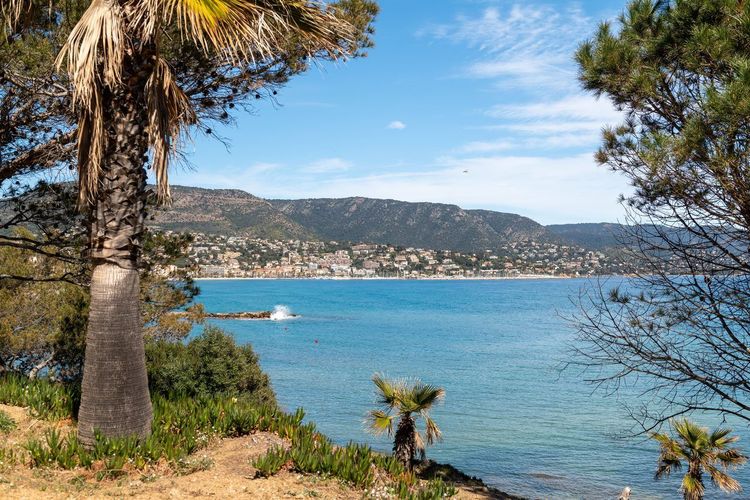 Le Lavandou port