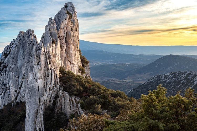 Dentelles de Montmirail