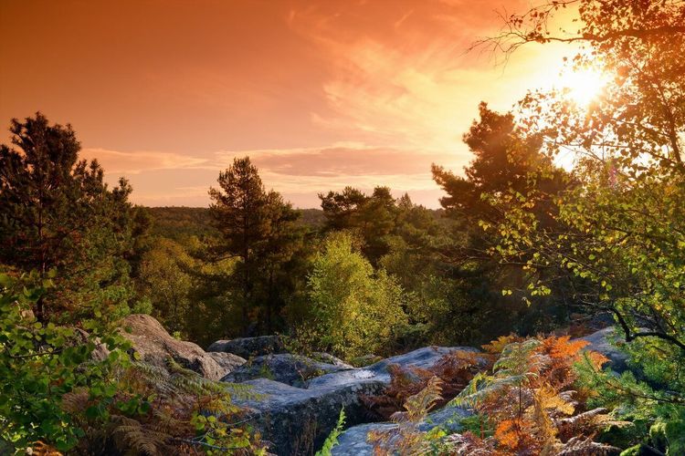 Gorges d'Apremont