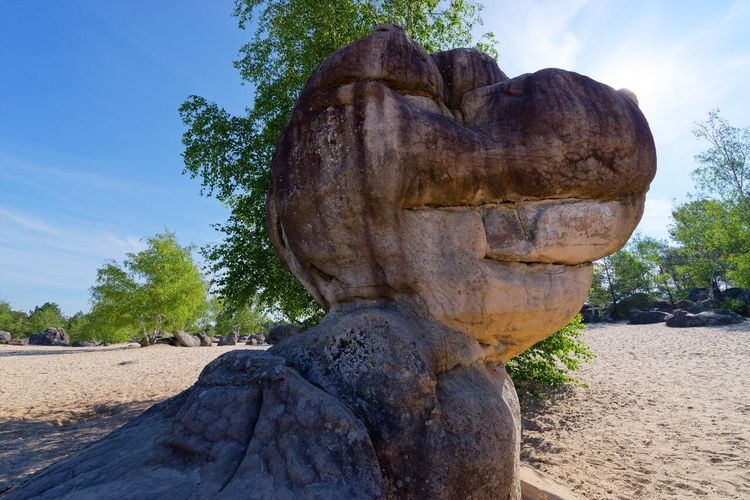 bouldering Fontainebleau