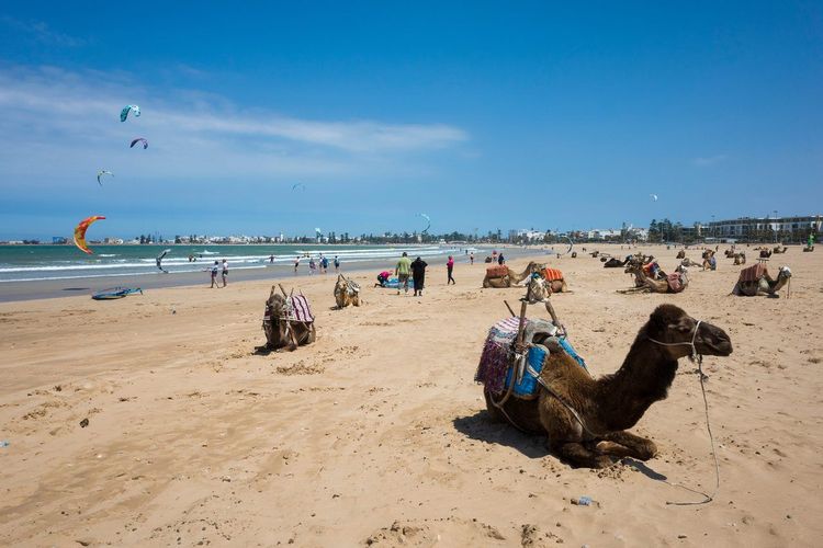 kitesurf Essaouira