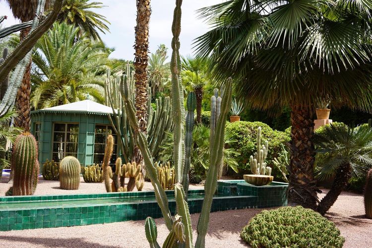 Marrakech printemps