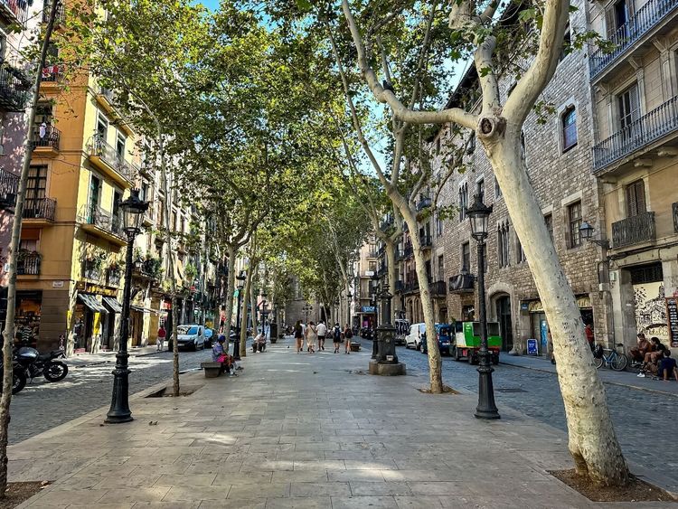Passeig del Born