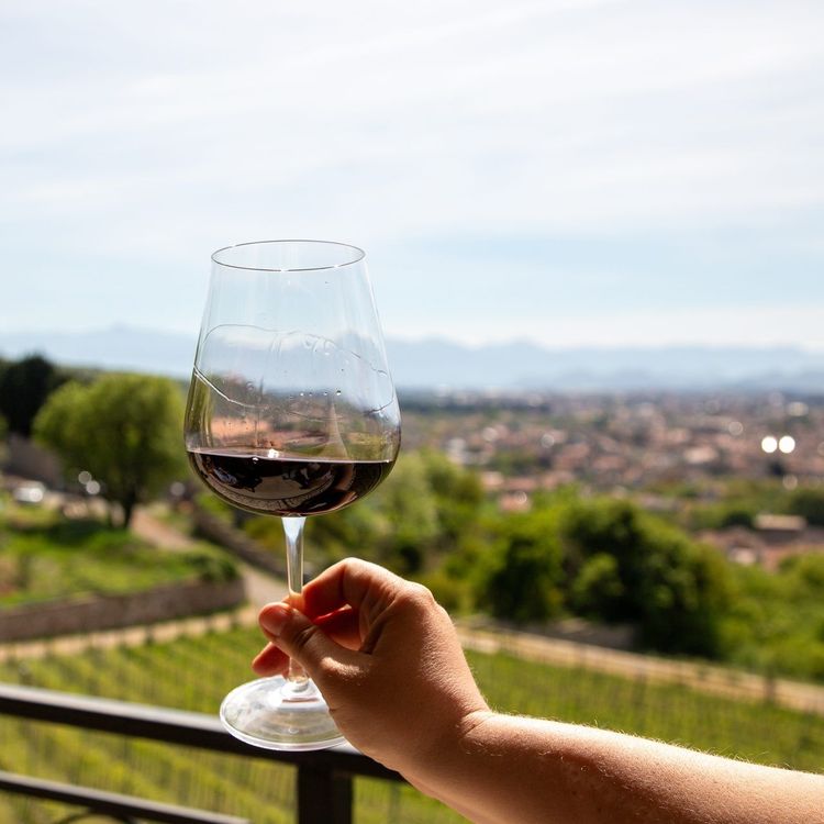 dégustation vin Provence