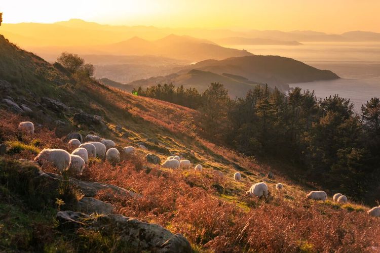 Montagnes de Jaizkibel dans le Pays basque