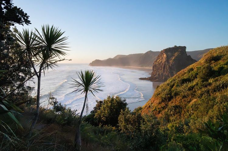 Piha Beach