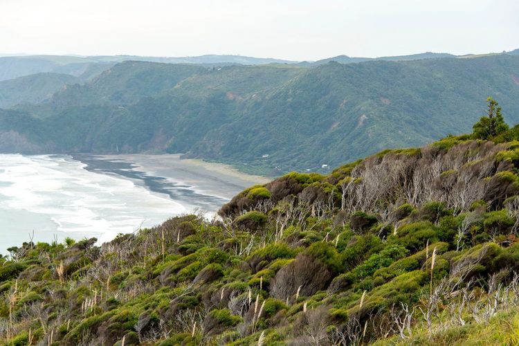 Waitakere Ranges