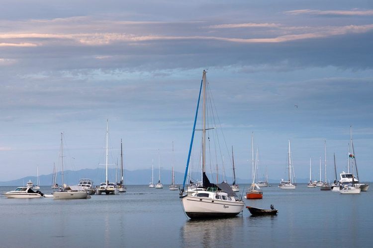 Golfe de Hauraki