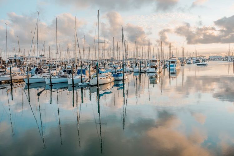 Viaduct Harbour Auckland