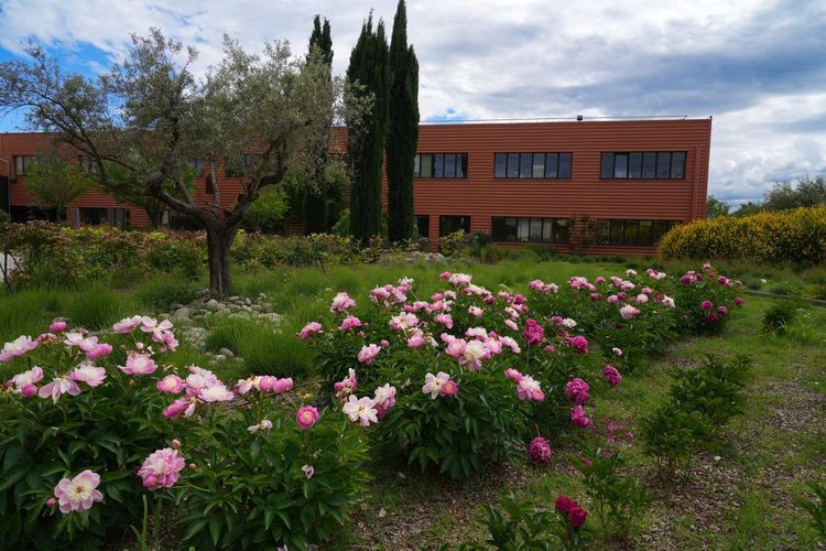 L'Occitane en Provence usine