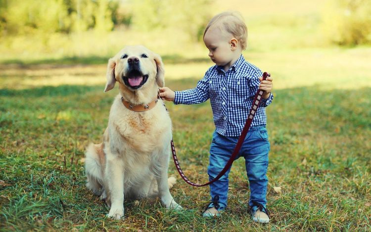 famille parc animaux enfants