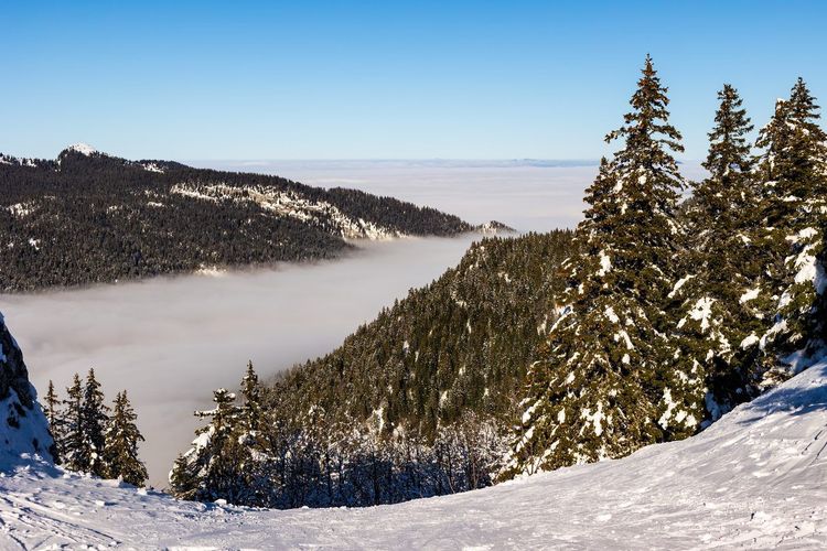 Massif de la Chartreuse