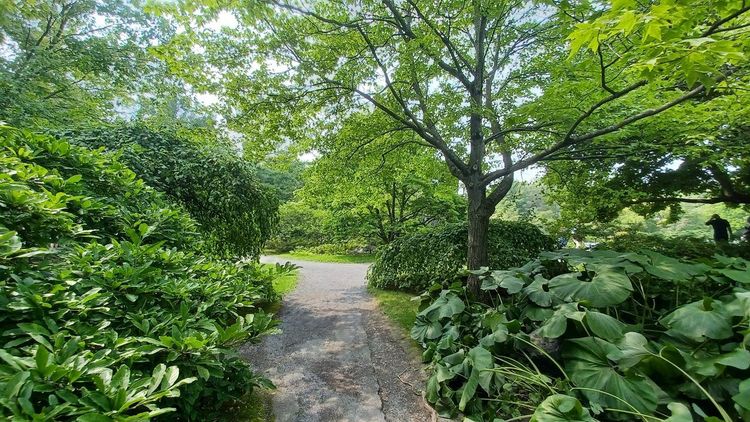 jardin botanique alpin