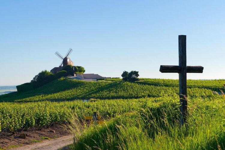Montagne de Reims