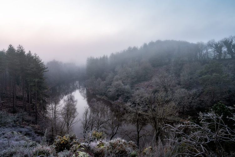 Forêt de Brocéliande